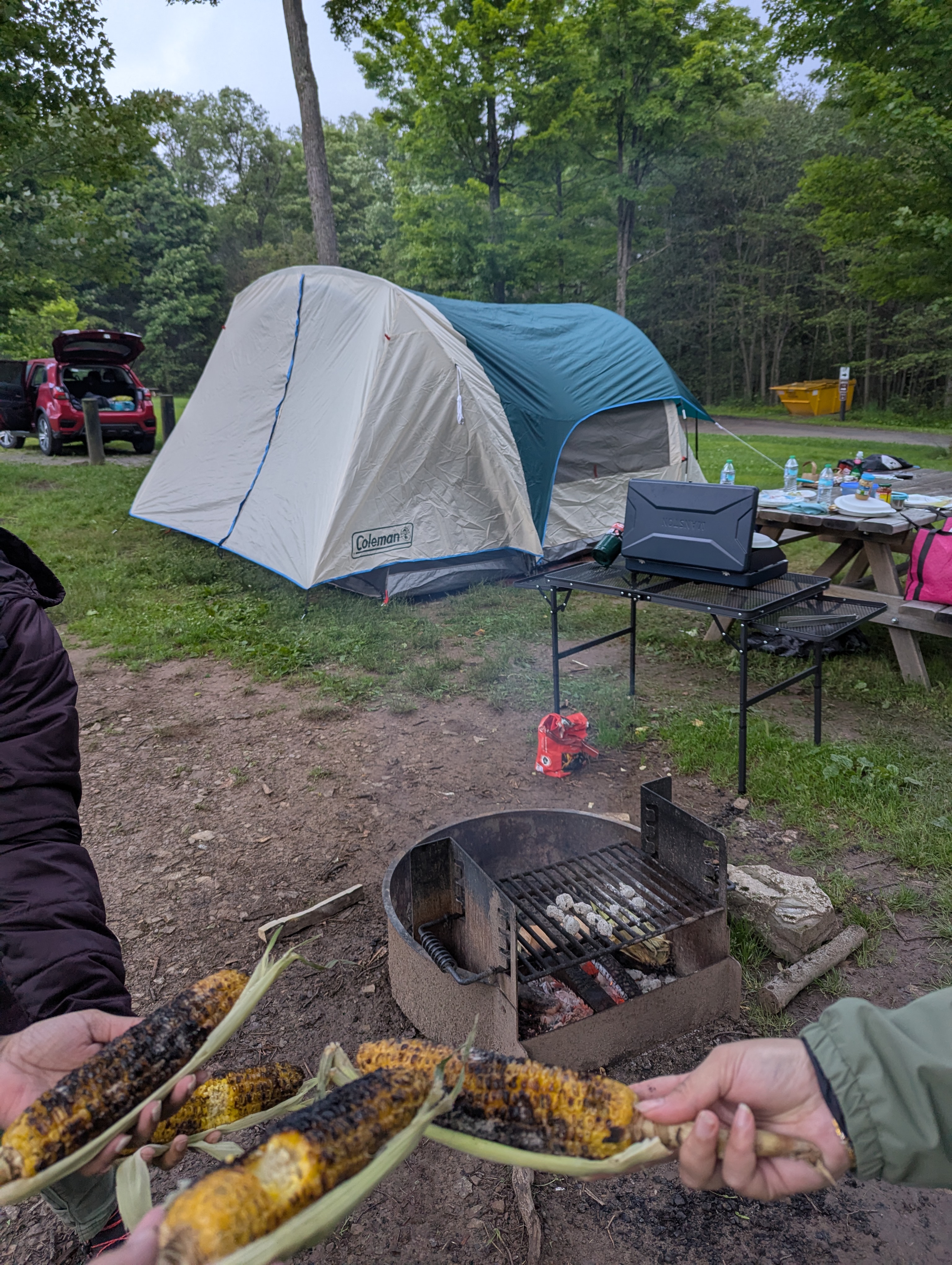Camping in Allegany State Park, New York